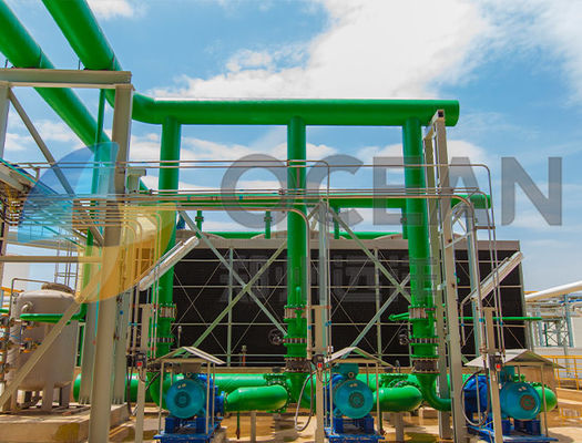 OEM ODM น้ำมันเรพซีดอุปกรณ์สกัดน้ำมันดอกทานตะวันประหยัดพลังงาน